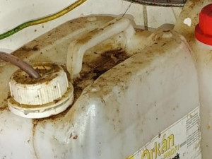 Naprosto nepřijatelná hygiena, inspekce uzavřela asijské bistro před bývalým Priorem