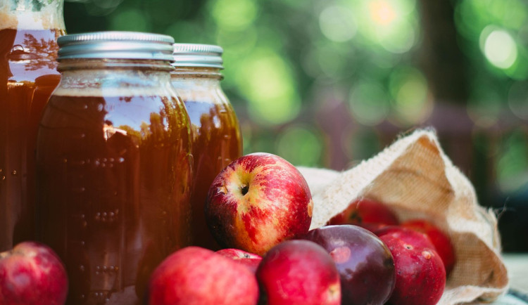 Moštárna z Plzeňska čeká velmi dobrou úrodu jablek a hrušek, sází staré odrůdy