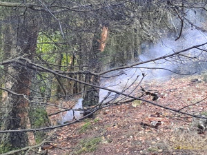Menší letadlo se zřítilo na Plzeňsku a začalo hořet. Byl vyhlášen režim mimořádné situace