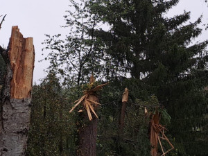 Menší letadlo se zřítilo na Plzeňsku a začalo hořet. Byl vyhlášen režim mimořádné situace