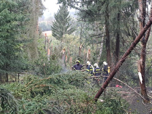 Menší letadlo se zřítilo na Plzeňsku do lesa a začalo hořet. Pilot zahynul v troskách
