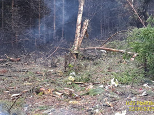 Menší letadlo se zřítilo na Plzeňsku a začalo hořet. Byl vyhlášen režim mimořádné situace