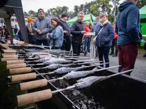 Sousedský food festival v Tachově láká na autentickou atmosféru i moravská vína