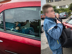 Na zadním sedadle mého auta spí tvrdě cizí chlap, volala šokovaná žena na policii