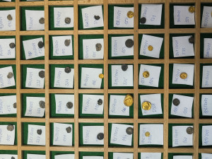 Tajné naleziště na severním Plzeňsku odhalilo stovky zlatých a stříbrných keltských mincí