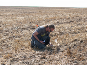 Tajné naleziště na severním Plzeňsku odhalilo stovky zlatých a stříbrných keltských mincí