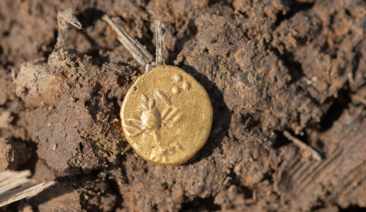 Tajné naleziště na severním Plzeňsku odhalilo stovky zlatých a stříbrných mincí