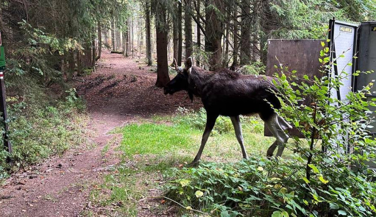 Los Emil se pohybuje na hranici ČR a Německa a směřuje na severozápad