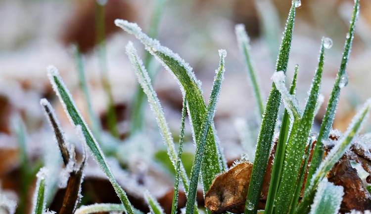 V Praze hrozí tento týden přízemní mrazíky, na víkend se má oteplit