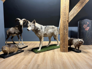 Znáte Nepomuk? Stavte se v Nepomuckém kabinetáriu a objevíte víc!