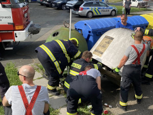 Koťata hodil do popelnice mezi střepy, všechna uhynula. Muž si vyjednal podmínku