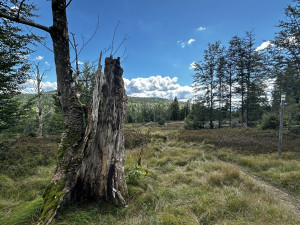 O krásná místa nebude během cesty nouze