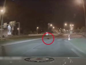 Plzeňští bobři si nedají pokoj, další pochodoval přímo před policejním autem