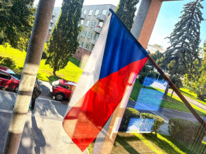 ANKETA: Jak jsou občané Plzeňského kraje spokojeni s výsledky voleb?