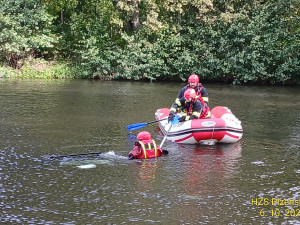 Auto se seniorem proletělo zastávkou, skočilo do rybníka a celé zmizelo pod vodou