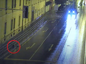 Bobří turistika v západočeské metropoli, během tří dnů se ulicemi toulali tři bobři