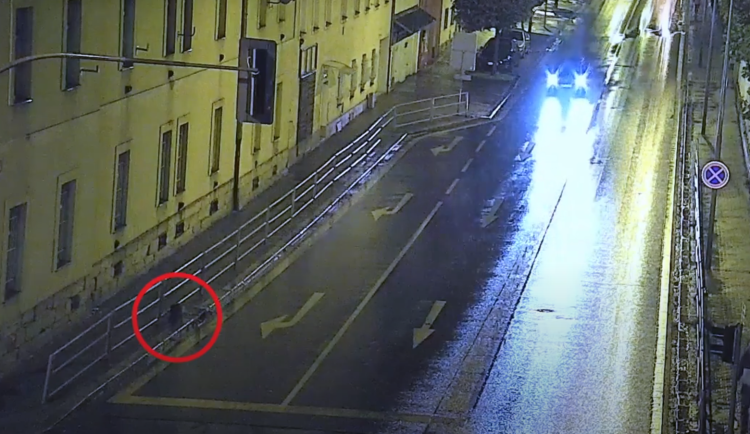 Bobří turistika v západočeské metropoli, během tří dnů se ulicí toulali tři bobři