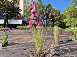Slavného růžového králíka obklopí květiny, záhonům budou vévodit růže