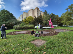 Slavného růžového králíka obklopí květiny, záhonům budou vévodit růže