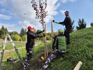 Slavného růžového králíka obklopí květiny, záhonům budou vévodit růže