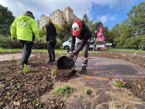 Slavného růžového králíka obklopí květiny, záhonům budou vévodit růže