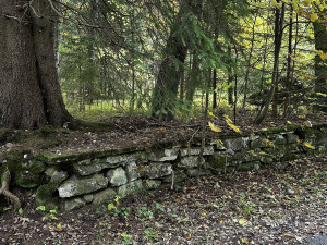 Ze zámku zbyla jen tato zídka