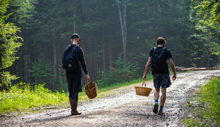 MAPA: Letošní houbařská sezona jde do finále. Kam ještě na Vysočině vyrazit?