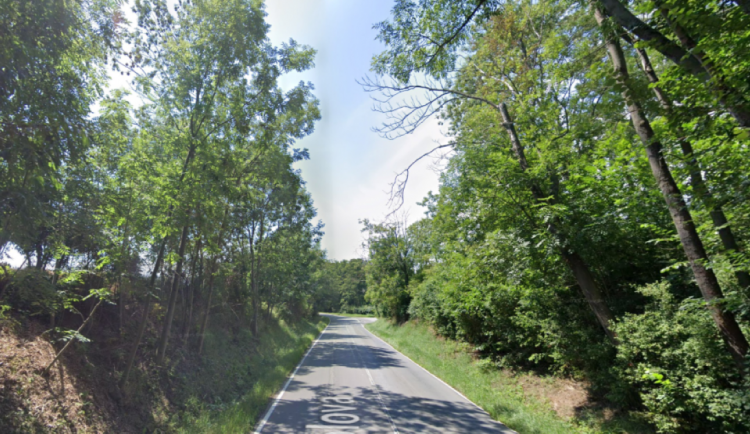 Kvůli kácení stromů bude v Olomouci do konce října uzavřena Zolova ulice