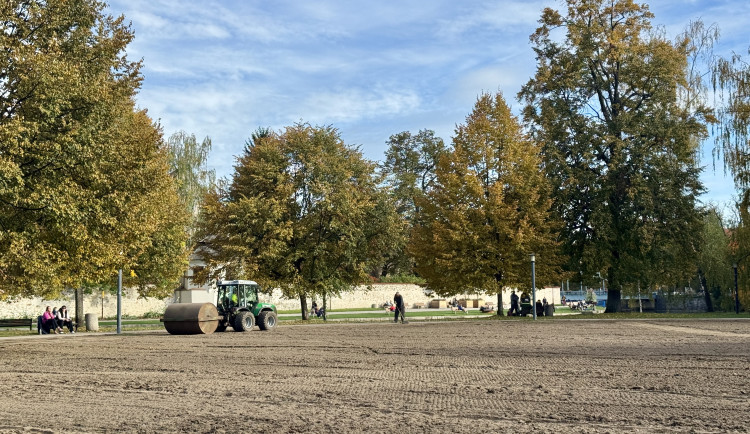 Sokolák se proměnil v oraniště, na jaře se opět zazelená