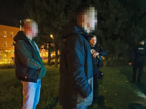 Rvačku několika mužů u autobusového nádraží ukončil až taser městské policie