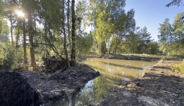 Karlovarské lázeňské lesy vybudovaly čtyři nové tůně, celkem jich mají 40