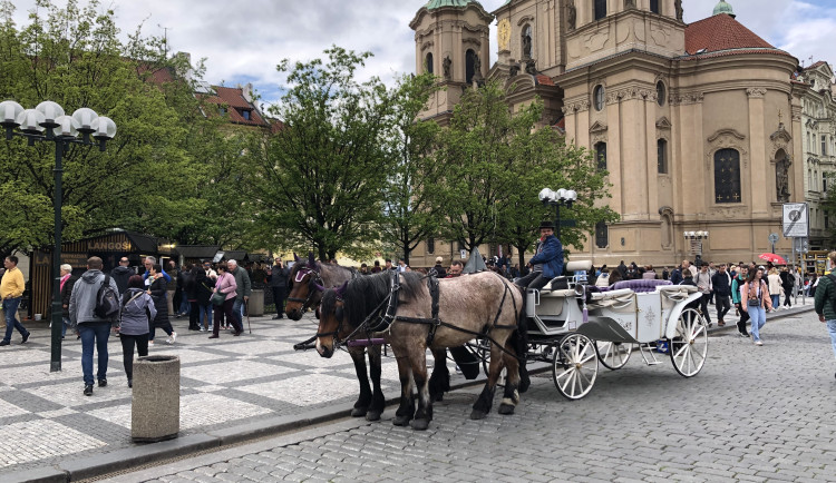 Praha zrušila nájem fiakrům, část radních je proti. Po výměně Pospíšila je chtějí zpět