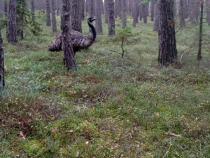 foto: David Hrbáček