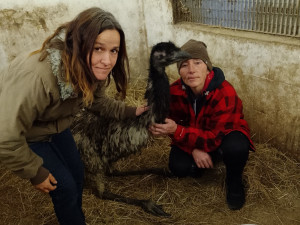 foto: David Hrbáček