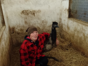 foto: David Hrbáček