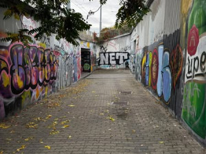 Místo po úklidu, foto: MO Plzeň 3