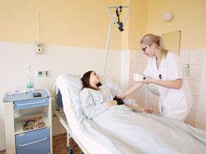 Plzeňský kraj chce mít příští rok projekt nové nemocnice v Plané na Tachovsku
