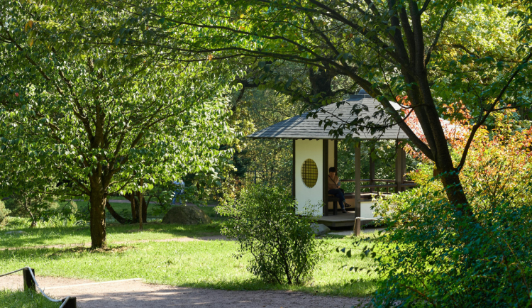 Trutnov bude mít městskou zahradu. Vznikne v rámci participativního rozpočtu