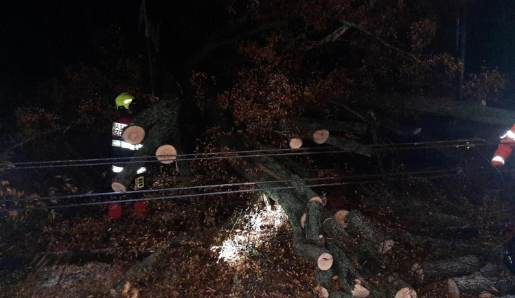 Provoz na trati Praha - Brno je na Blanensku přerušený. Spadlé stromy poškodily trakční vedení