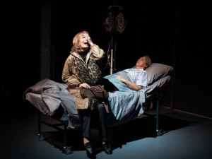 Hra oceněná Pulitzerem míří v české premiéře na prkna plzeňského divadla