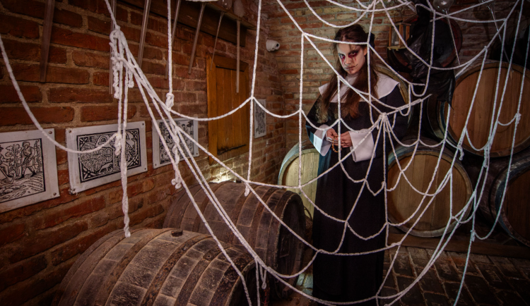 Co v Brně o dušičkovém víkendu? Projít si potemnělou kostnici nebo kryt Denis