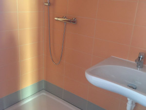 Většina pokojů v horažďovické nemocnici má vlastní toalety, modernizace pokračuje