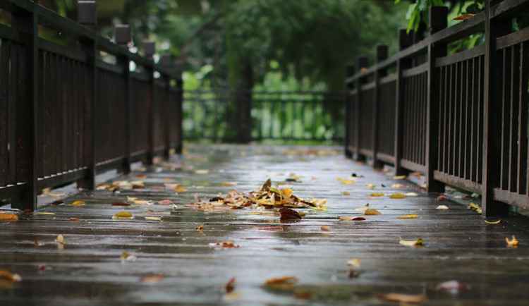 Začátek týdne bude deštivý, na horách se sněhem. Ve středu přijde změna