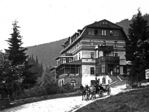 Bryčky vozily hosty od vlaku z nádraží Špičák do hotelu RIXI, ale také po výletech v okolí například na Černé jezero. Rok 1928. Foto: Archiv Zdeňka Roučky.