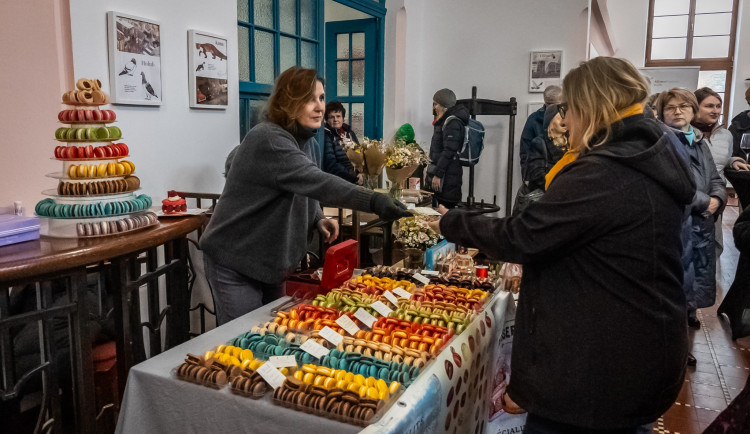 Plzeň v listopadu ožije francouzskou kulturou na festivalu Bonjour Plzeň