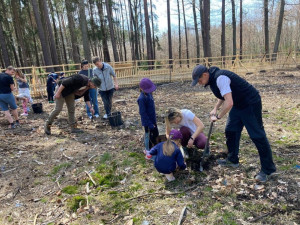 Na akci Den pro les připravila Plzeň 4000 sazenic stromů, které mohou lidé vysadit