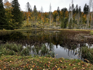 Ze Železné Rudy přes zaniklé Ferdinandovo údolí k tajemnému jezírku Obere Schwelle