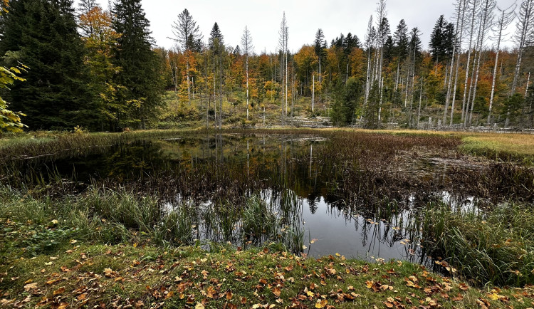 Jezírko Obere Schwelle