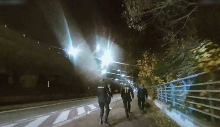 Policisté na ulici v Plzni odchytávají bobra