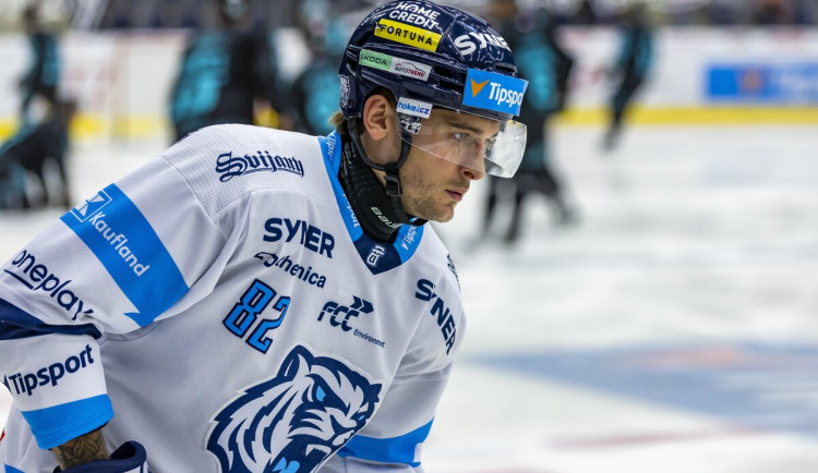 Liberecký Tygr Procházka dostal za faul na Kňažka dvouzápasový trest